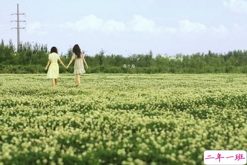 超级甜蜜的肉麻话说说带图片 与情感有关的唯美说说配图7