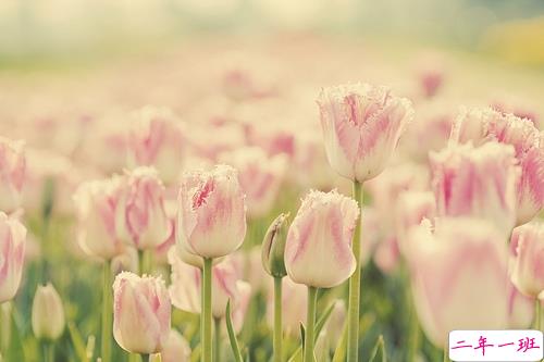 超级甜蜜的肉麻话说说带图片 与情感有关的唯美说说配图8