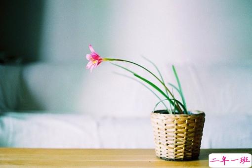 女生唯美伤感说说带图片 一句话描述心情不好的说说6