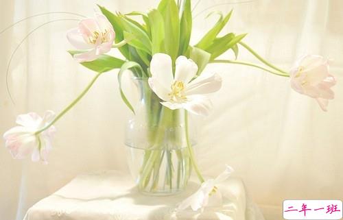 女生唯美伤感说说带图片 一句话描述心情不好的说说8