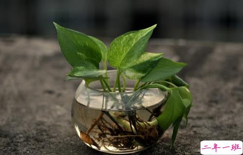 女生唯美伤感说说带图片 一句话描述心情不好的说说10