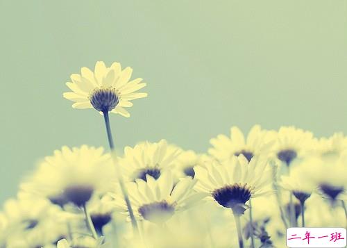 微信唯美忧伤说说一句话带图片 适合悲伤时发的唯美句子14