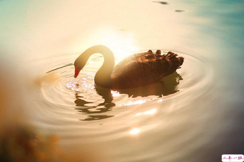 抖音最火晒结婚证的说说 2019领结婚证的朋友圈文艺简短1