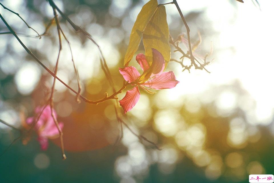 抖音最火晒结婚证的说说 2019领结婚证的朋友圈文艺简短2