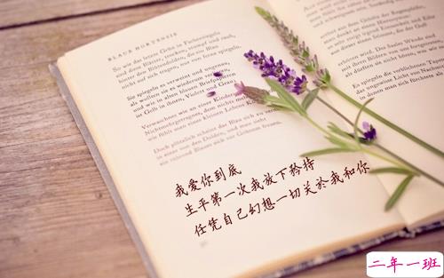 浪漫的爱情句子很甜蜜 除夕夜写给女朋友的爱情句子2