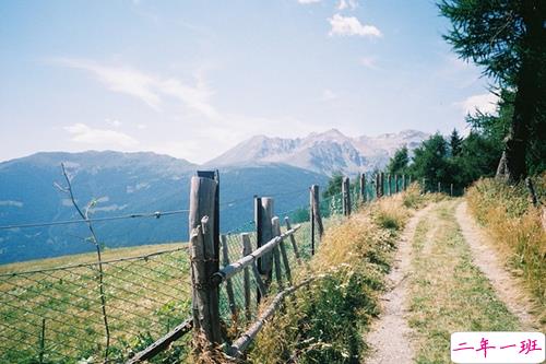疼到骨子里的一些悲痛句子 句句刺心让人心寒的爱情句子2