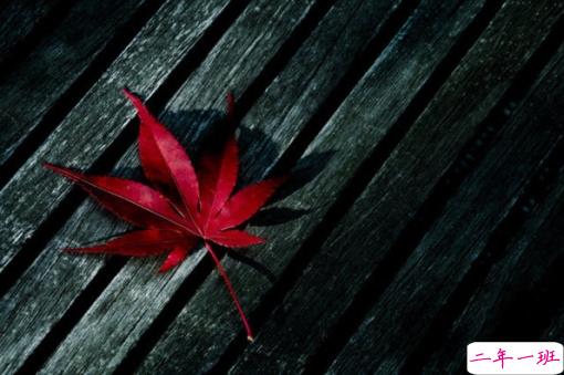 2019干净唯美的说说带图片 最优美好听的朋友圈唯美说说9