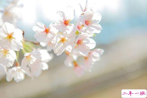 情侣秀恩爱的爱情句子合集 你侬我侬的唯美爱情句子2