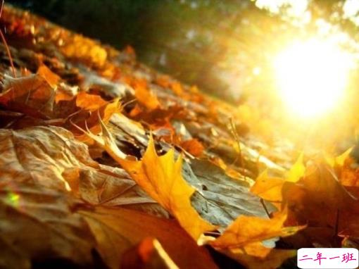 2019干净唯美的说说带图片 最优美好听的朋友圈唯美说说15