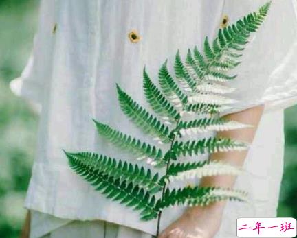 有诗意的唯美带图片的说说精选 一段话带唯美的说说不期待不将就11