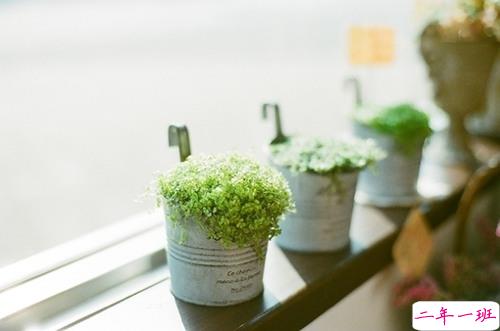 14条经典唯美说说配图 文艺小清新喜欢的唯美说说20182