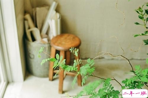 14条经典唯美说说配图 文艺小清新喜欢的唯美说说20184