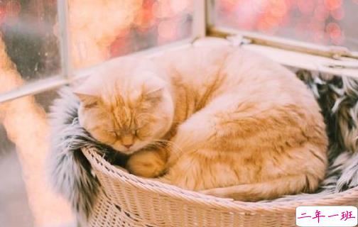 唯美的古风说说带图片 喜欢古风的女生可以发的说说2