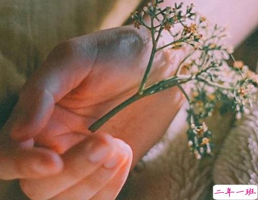 唯美的古风说说带图片 喜欢古风的女生可以发的说说10