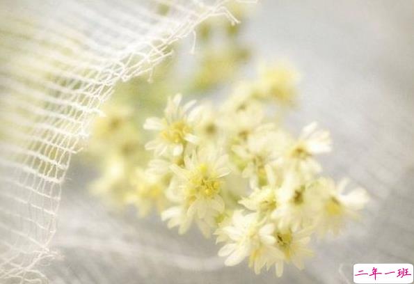 电影电视剧中会出现的唯美经典的韩文说说11