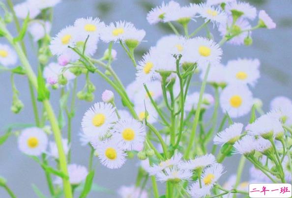 电影电视剧中会出现的唯美经典的韩文说说14