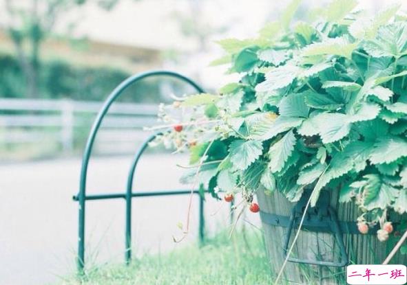 电影电视剧中会出现的唯美经典的韩文说说15