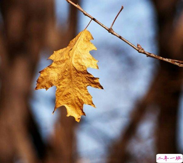 超唯美的经典人生感悟说说带图片 都说人生如戏10