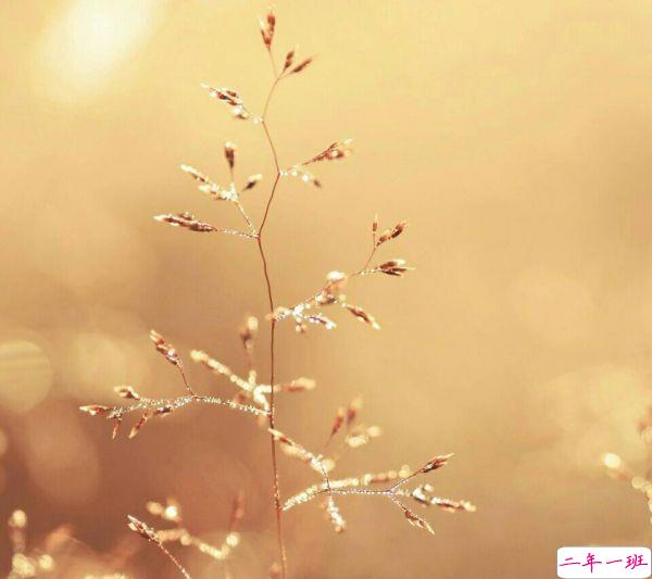 超唯美的经典人生感悟说说带图片 都说人生如戏11