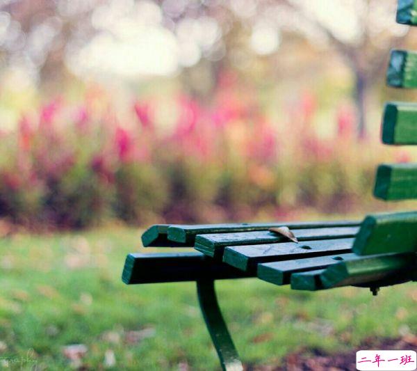 超唯美的经典人生感悟说说带图片 都说人生如戏12