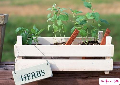 唯美文艺说说带图片 想做一个长长的梦回到十九岁那年2