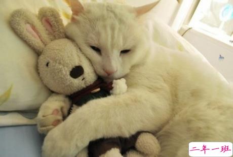 唯美文艺说说带图片 想做一个长长的梦回到十九岁那年8