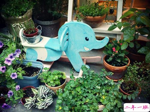 唯美文艺说说带图片 想做一个长长的梦回到十九岁那年9