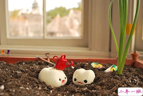 唯美文艺说说带图片 想做一个长长的梦回到十九岁那年10