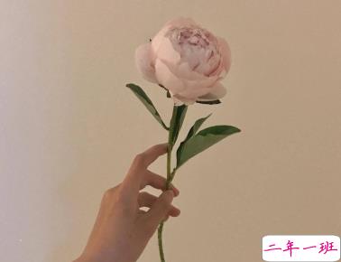 30条肉麻暖心情话合集 坏坏的撩人情话独一无二1