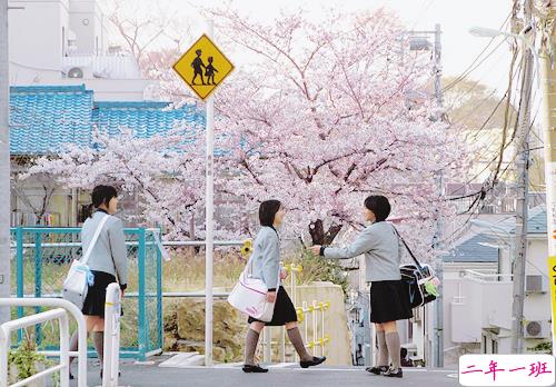 关于成长生活现实还有喜欢的人的精辟说说带图片12