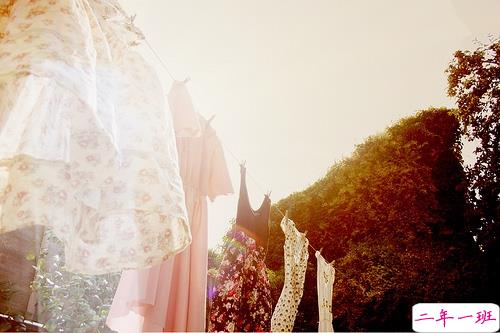 文字控偏爱的文艺小清新简单的唯美句子带图片1