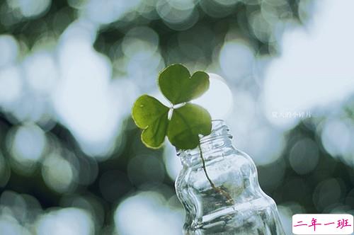 唯美又简单的一句话说说带图片 你本是这世间独一无二千般好6