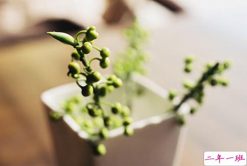 适合孤独时候发的治愈心情说说带图片 孤独没有形状却是无数个你白日的模样11