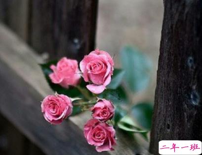 超暖心文艺情话适合表白 恋爱中情话句子大全1