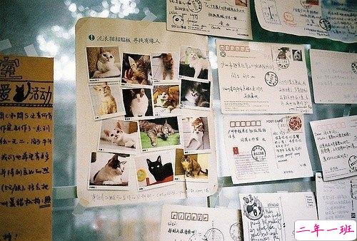 经典唯美文艺小清新说说带图片 这人世间本就是寒来暑往日出日落4