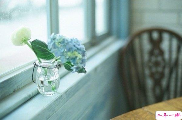 文字控喜欢的简单唯美的一句话说说带图片 烟尘滚滚一路行来我应是迷了路了7