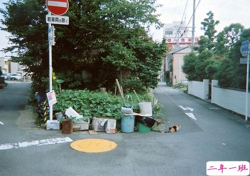 那些和青春夏天有关的唯美简单小清新图片句子 阳光倾落风雨都不舍1