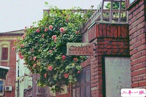 那些和青春夏天有关的唯美简单小清新图片句子 阳光倾落风雨都不舍10