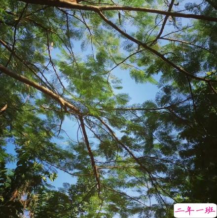 微博说说大全带图片女生唯美:所有的姗姗来迟,都是刚好的开始1