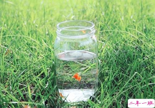 那些抖音中唯美的小清新图片句子 浮世万千吾爱有三15