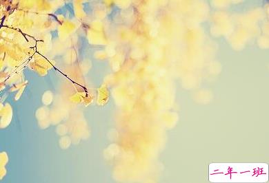 唯美时尚爱情说说带图片 很好看的唯美爱情说说精选4