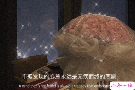 最温柔的方式表达我喜欢你 深情而又婉约的别致句子2