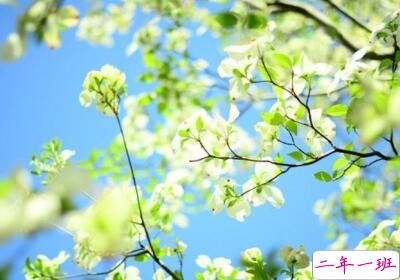 有意境说说带图片,意境说说配图片3 有意境说说带图片,意境说说配图片3