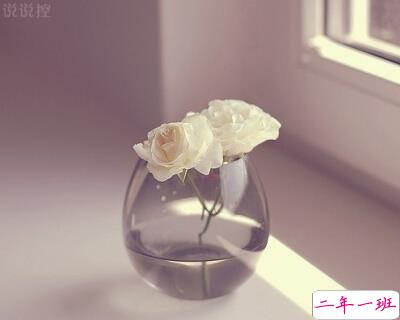 QQ唯美说说带图片1 QQ唯美说说带图片1