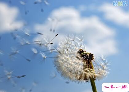 唯美说说带图片6 唯美说说带图片6