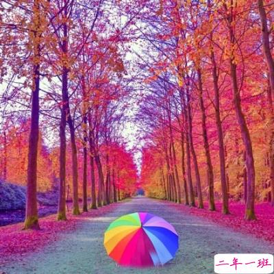 好看的说说配图3 好看的说说配图3