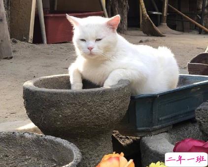 骂人不带脏字的高质量文案 沙雕搞笑的文案2