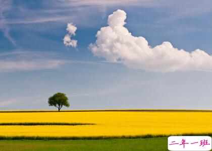 诗意说说带图片3 诗意说说带图片3