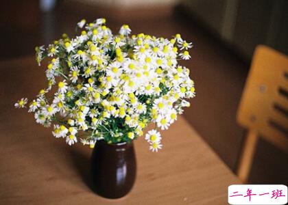 诗意说说带图片5 诗意说说带图片5