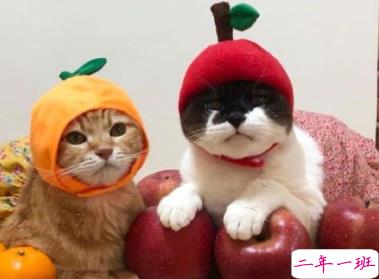 今日份的彩虹屁合集 今天是九宫格装不下的好看呀1